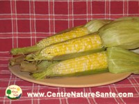 Photo recette