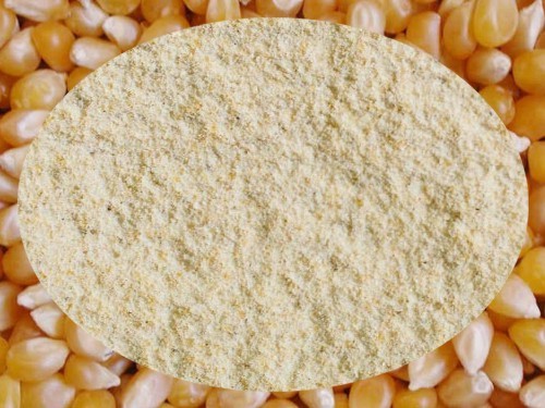 Farine de maïs - Fiche détaillée